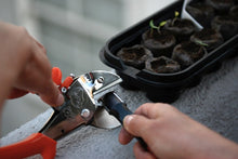 Lade das Bild in den Galerie-Viewer, Messerschärfer COMBO STAR