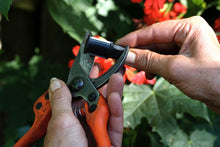 Lade das Bild in den Galerie-Viewer, Messerschärfer COMBO STAR